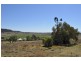 37 Warkon Street, Greenmount QLD 4359