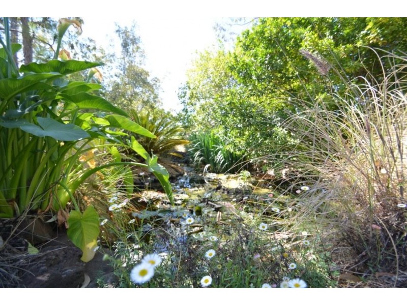 39 Hill Street, Pittsworth QLD 4356