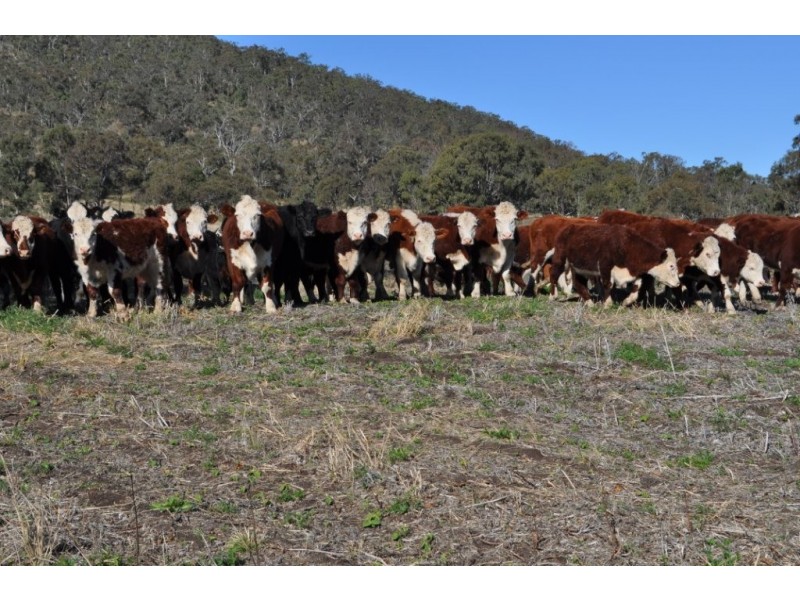 0 Macginley Road, Budgee QLD 4359