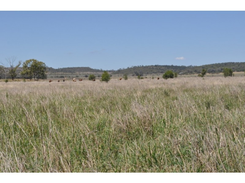 0 Side Street, Mount Tyson QLD 4356