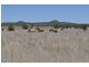 0 Side Street, Mount Tyson QLD 4356