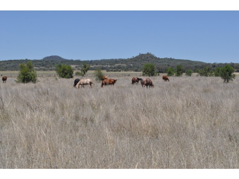 0 Side Street, Mount Tyson QLD 4356