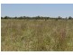 0 Side Street, Mount Tyson QLD 4356