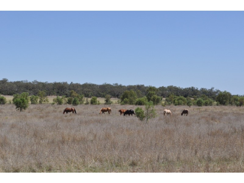 0 Side Street, Mount Tyson QLD 4356