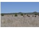 0 Side Street, Mount Tyson QLD 4356