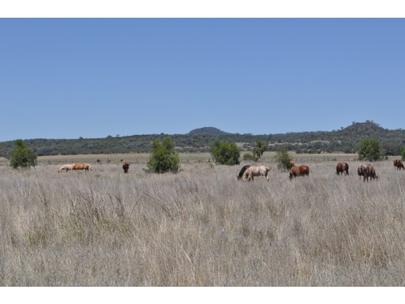 0 Side Street, Mount Tyson QLD 4356