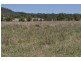 0 Side Street, Mount Tyson QLD 4356