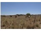 0 Side Street, Mount Tyson QLD 4356