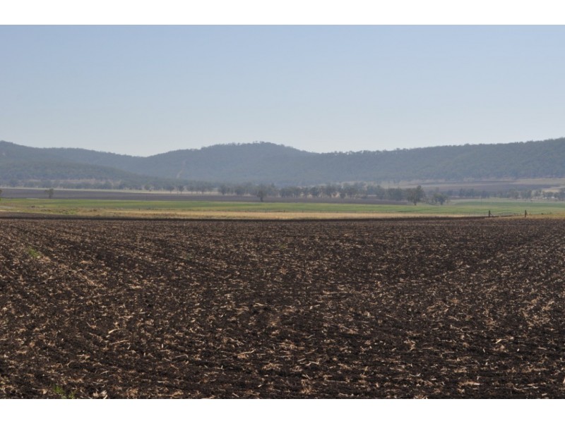 158 Budgee Road, Budgee QLD 4359