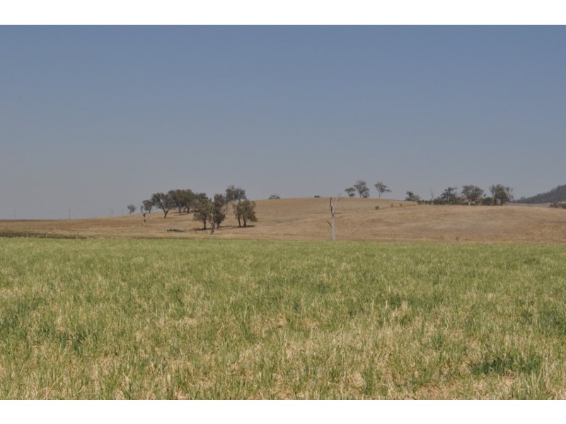 158 Budgee Road, Budgee QLD 4359