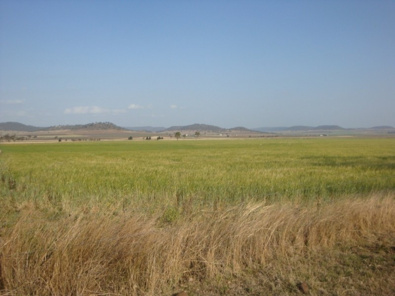 158 Budgee Road, Budgee QLD 4359