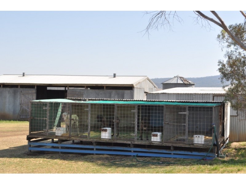 158 Budgee Road, Budgee QLD 4359