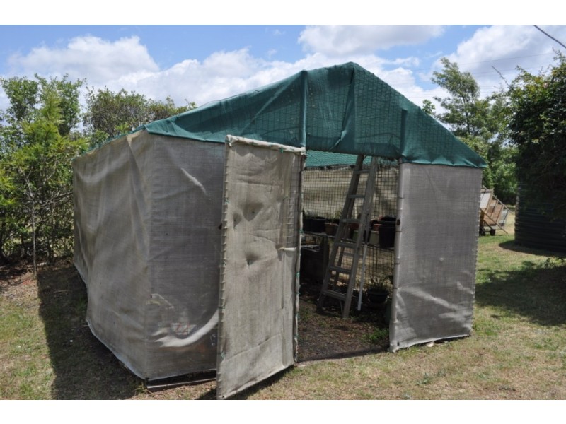 1 Greenwattle Street, Cranley QLD 4350