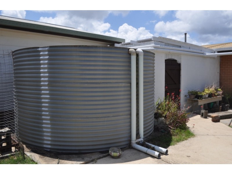 1 Greenwattle Street, Cranley QLD 4350