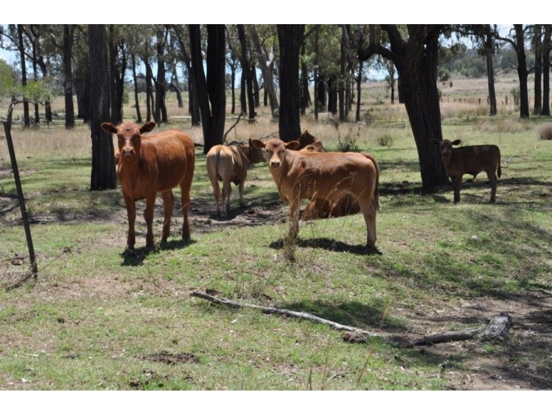 640 Quinalow Peranaga Road, Peranga QLD 4352