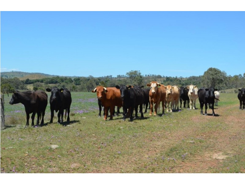 77 Hill Road, Groomsville QLD 4352