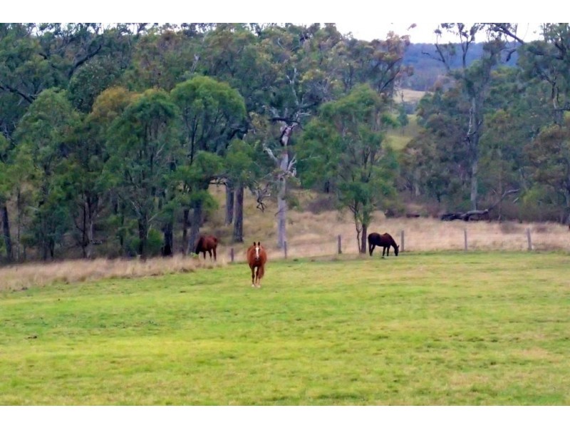 214 Meynink Road, Hodgson Vale QLD 4352