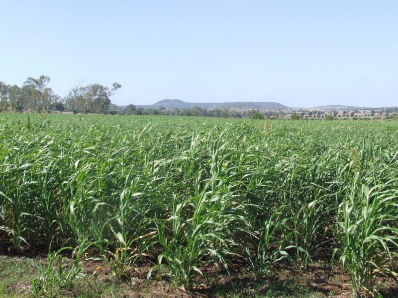 26 Boodua-Muniganeen Road, Boodua QLD 4401