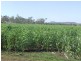 26 Boodua-Muniganeen Road, Boodua QLD 4401