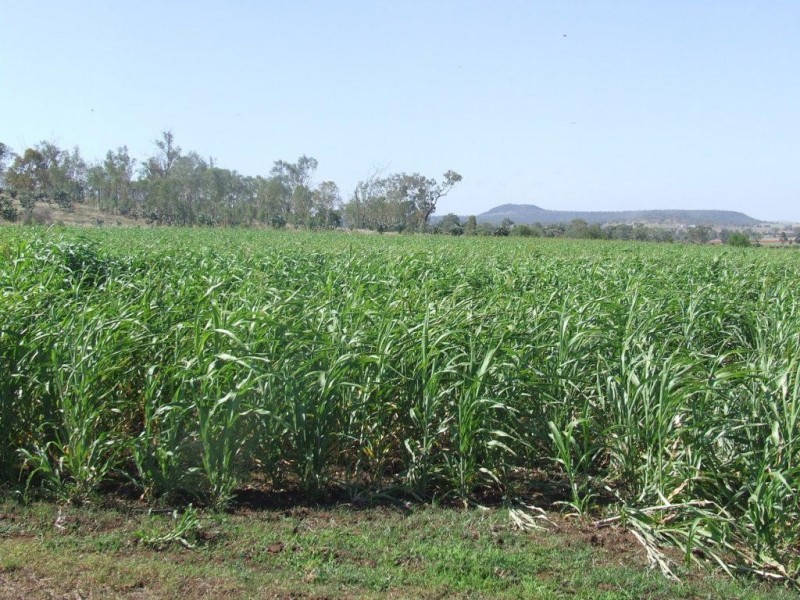 26 Boodua-Muniganeen Road, Boodua QLD 4401