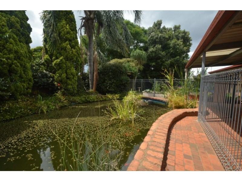 19 Trousdell Court, Rockville QLD 4350