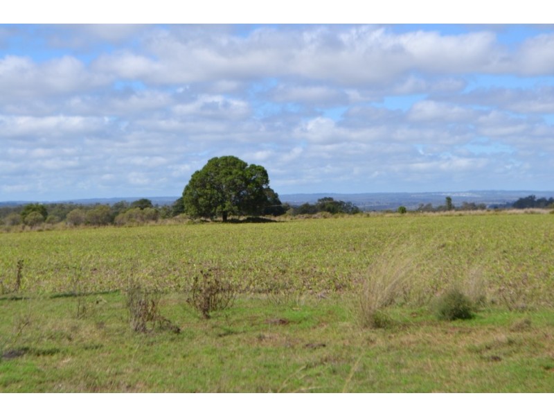 2850 Kingsthorpe-Haden Road, Goombungee QLD 4354