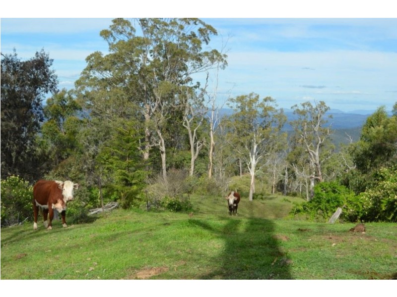 Lot 285 Happy Valley Road, Cabarlah QLD 4352