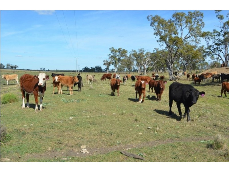 0 Scrubby Mountain Road, Pittsworth QLD 4356