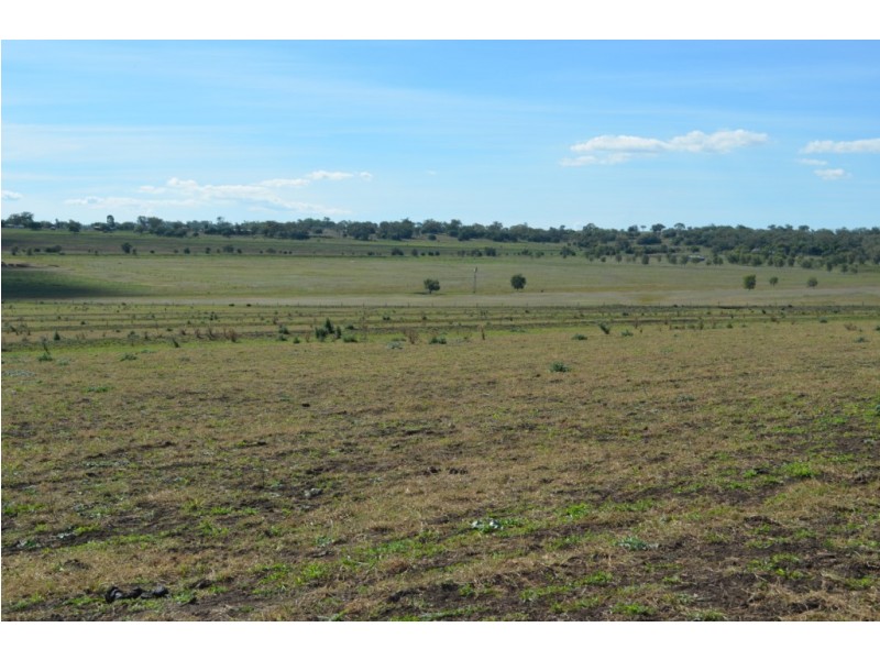 0 Scrubby Mountain Road, Pittsworth QLD 4356