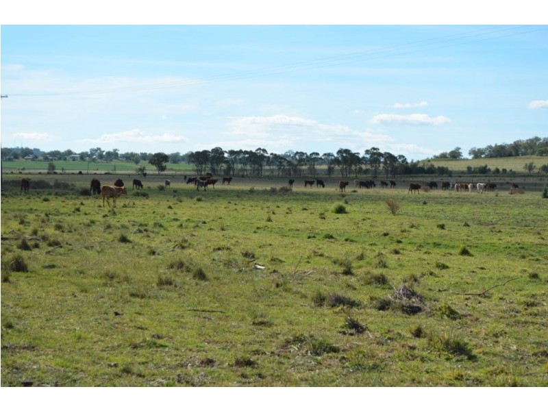 0 Scrubby Mountain Road, Pittsworth QLD 4356