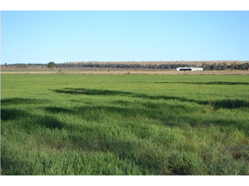 0 Pechey-MacLagan Road, Rosalie Plains QLD 4401