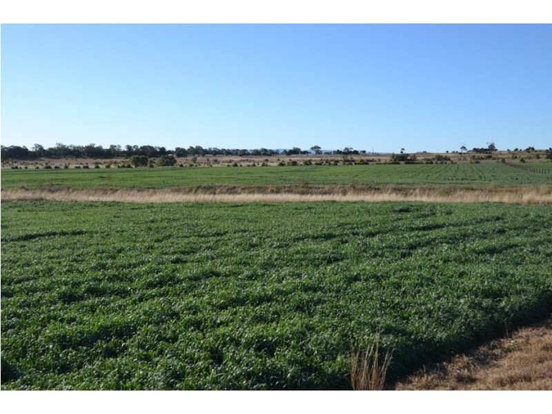 0 Pechey-MacLagan Road, Rosalie Plains QLD 4401