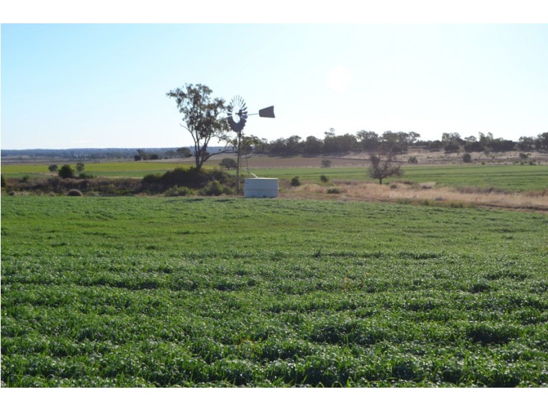 0 “Rosalie Rise” Pechey-MacLagan Road, Rosalie Plains QLD 4401