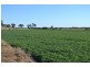 0 “Rosalie Rise” Pechey-MacLagan Road, Rosalie Plains QLD 4401