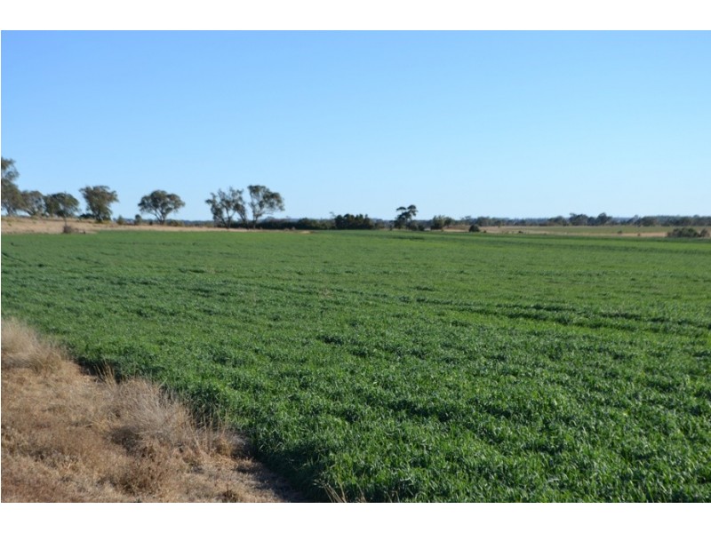 0 “Rosalie Rise” Pechey-MacLagan Road, Rosalie Plains QLD 4401