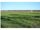0 “Plainview” Pechey-MacLagan Road, Rosalie Plains QLD 4401