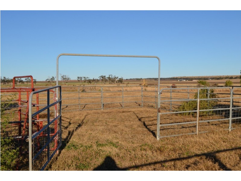 0 “Plainview” Pechey-MacLagan Road, Rosalie Plains QLD 4401