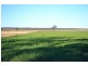 0 “Plainview” Pechey-MacLagan Road, Rosalie Plains QLD 4401