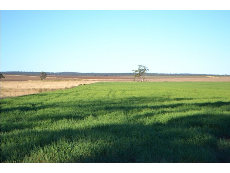 0 “Plainview” Pechey-MacLagan Road, Rosalie Plains QLD 4401
