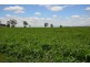 102 Crighton Road, Biddeston QLD 4401