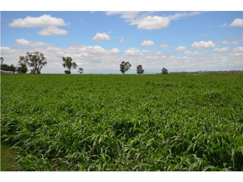 102 Crighton Road, Biddeston QLD 4401