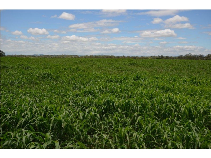 102 Crighton Road, Biddeston QLD 4401