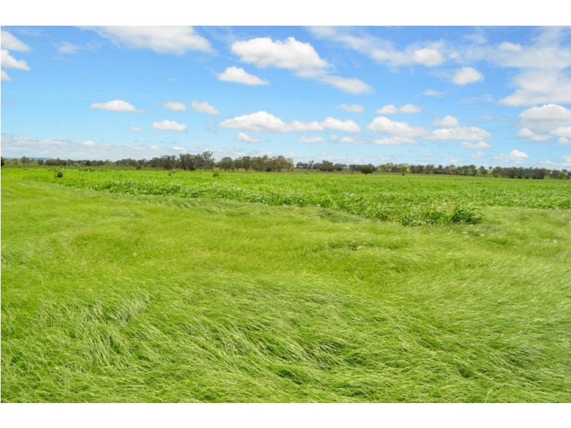 102 Crighton Road, Biddeston QLD 4401