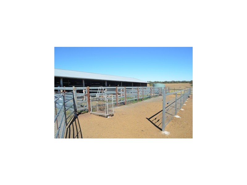102 Crighton Road, Biddeston QLD 4401