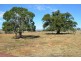 140 Umbiram School Road – 37.09 Acres, Umbiram QLD 4352