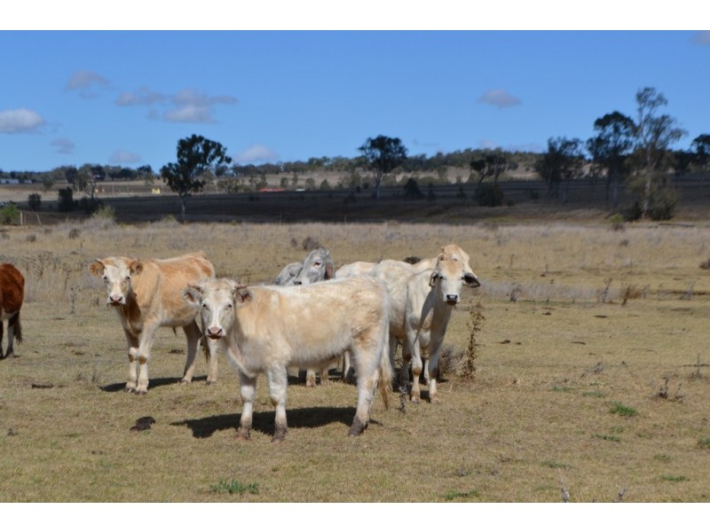 70 Willis Road, Meringandan West QLD 4352