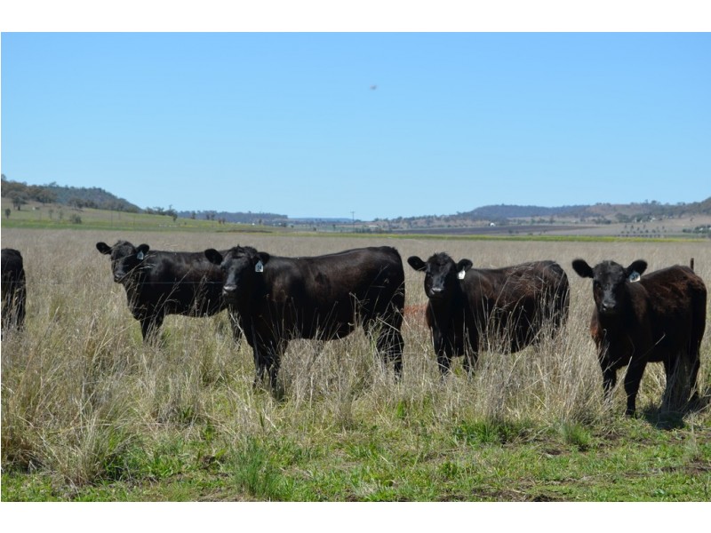 342 Watts Siding Road, Cambooya QLD 4358