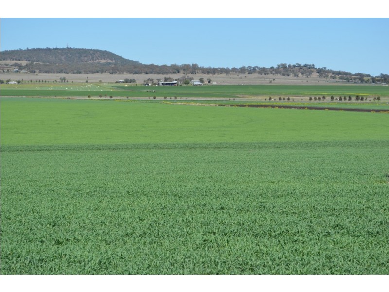 342 Watts Siding Road, Cambooya QLD 4358