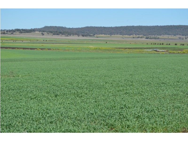 342 Watts Siding Road, Cambooya QLD 4358