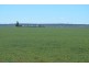 41 Arnold Street, Aubigny QLD 4401